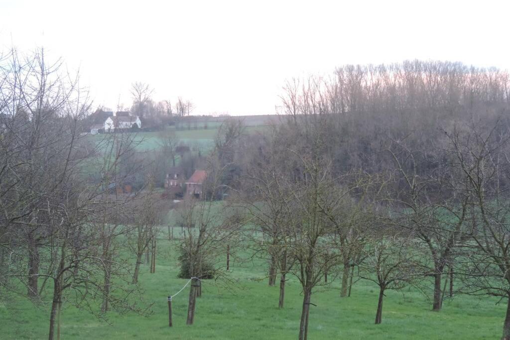Vakantiewoning Zoetebeek Oudenaarde Esterno foto