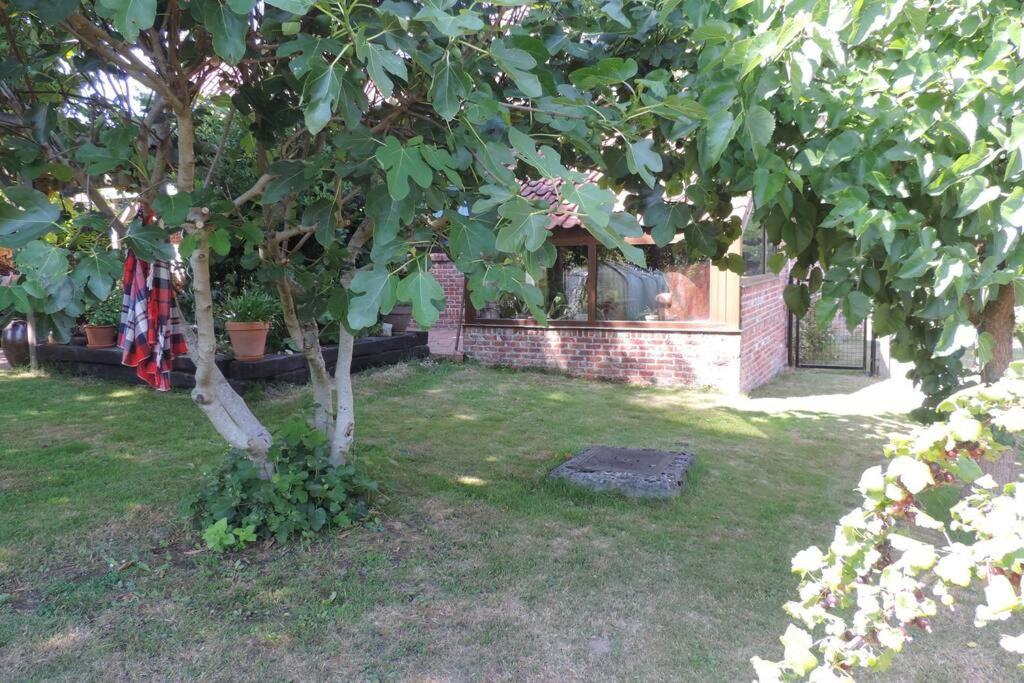 Vakantiewoning Zoetebeek Oudenaarde Esterno foto